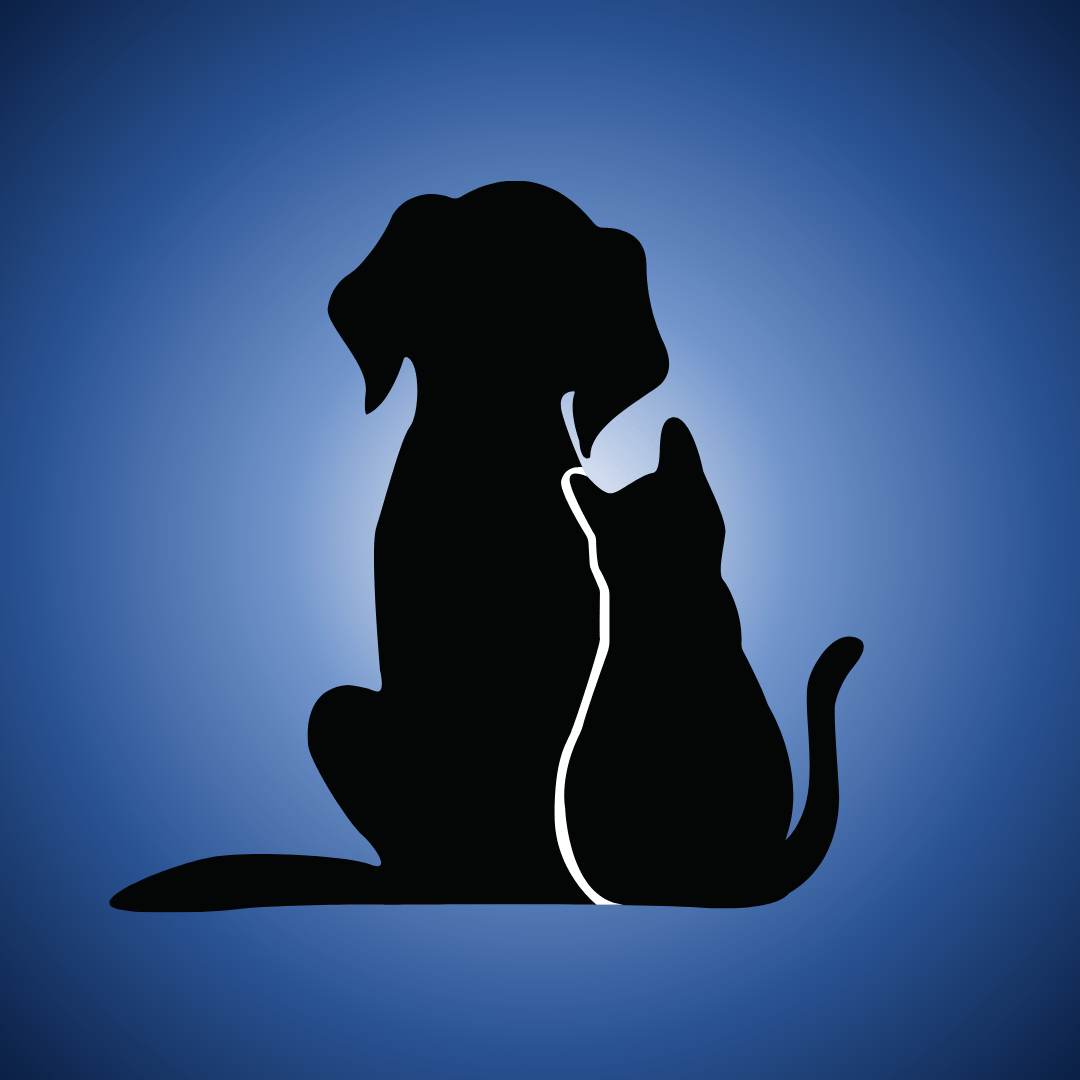 Your Pet Treats