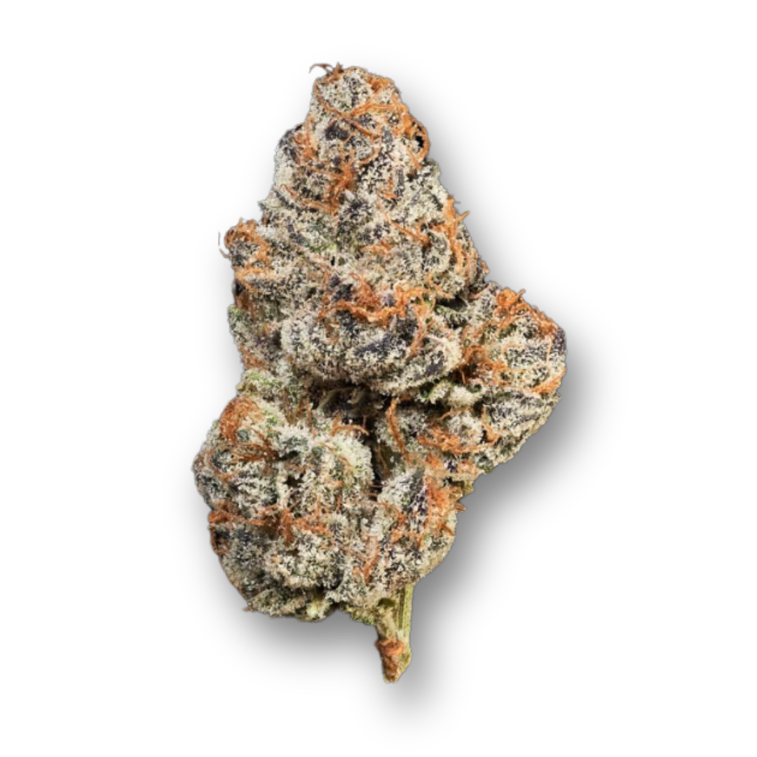 Bro, this strain is crazy it hits fast and hard and hey buds flower is beautiful 