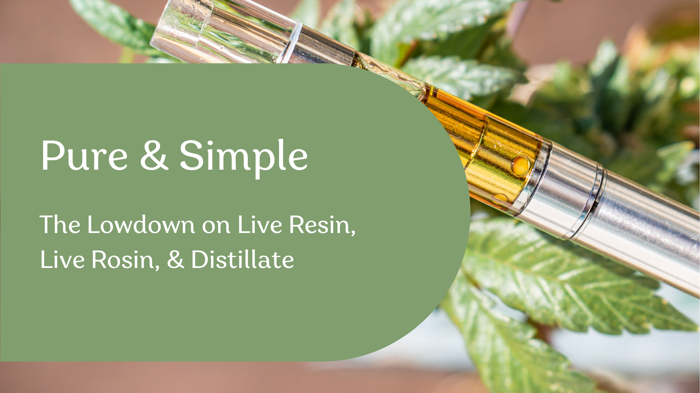 If you’ve been in the cannabis space for any length of time, chances are that you’ve heard the terms 